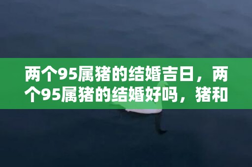 两个95属猪的结婚吉日，两个95属猪的结婚好吗，猪和猪合适结婚吗