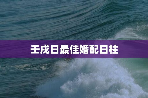 壬戌日最佳婚配日柱