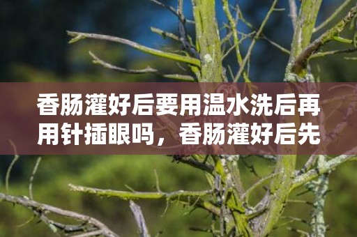 香肠灌好后要用温水洗后再用针插眼吗，香肠灌好后先扎孔还是先用温水洗