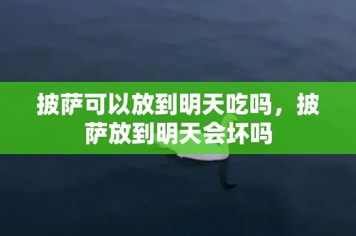 披萨可以放到明天吃吗，披萨放到明天会坏吗