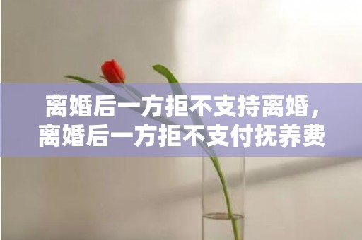 离婚后一方拒不支持离婚，离婚后一方拒不支付抚养费怎么起诉对方？女方有理由不出抚养费吗