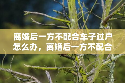 离婚后一方不配合车子过户怎么办，离婚后一方不配合过户以什么案由起诉？？离婚后申请强制执行过户