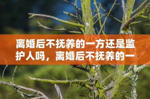 离婚后不抚养的一方还是监护人吗，离婚后不抚养的一方是不是监护人？抚养费不想给监护人