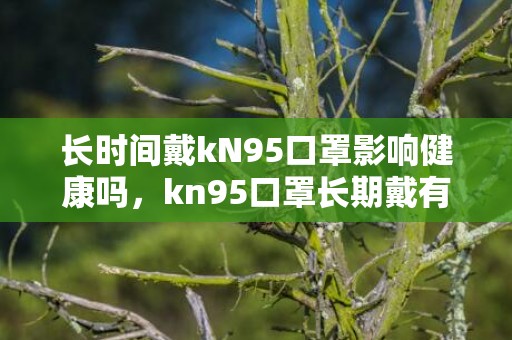 长时间戴kN95口罩影响健康吗，kn95口罩长期戴有什么危害