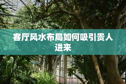 客厅风水布局如何吸引贵人进来