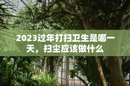 2023过年打扫卫生是哪一天，扫尘应该做什么