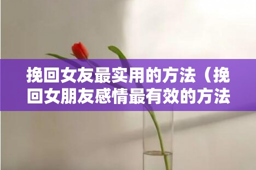 挽回女友最实用的方法（挽回女朋友感情最有效的方法）