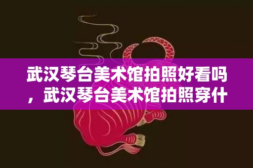 武汉琴台美术馆拍照好看吗，武汉琴台美术馆拍照穿什么衣服合适