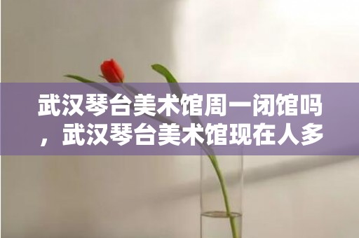 武汉琴台美术馆周一闭馆吗，武汉琴台美术馆现在人多不多