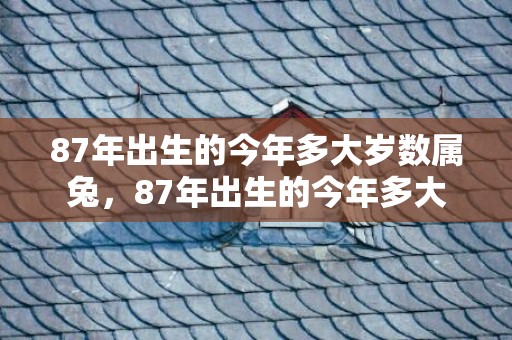 87年出生的今年多大岁数属兔，87年出生的今年多大