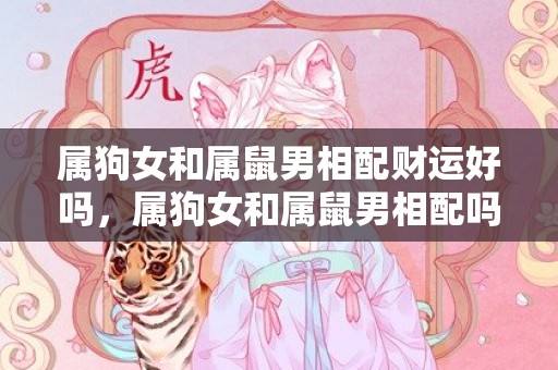 属狗女和属鼠男相配财运好吗，属狗女和属鼠男相配吗