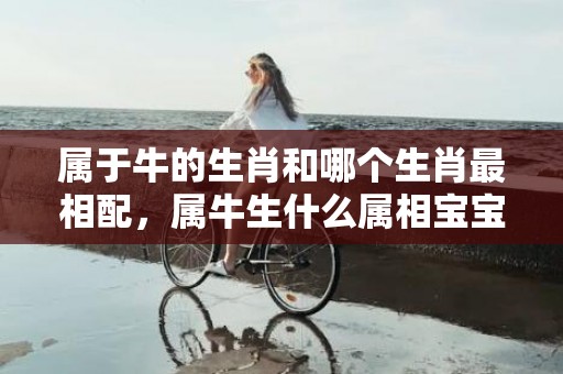 属于牛的生肖和哪个生肖最相配，属牛生什么属相宝宝好