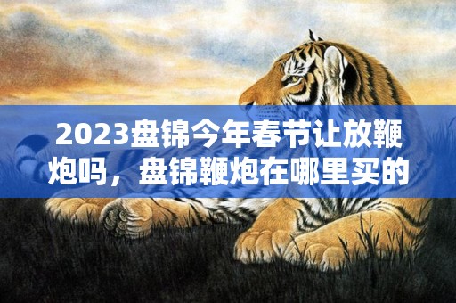 2023盘锦今年春节让放鞭炮吗，盘锦鞭炮在哪里买的到