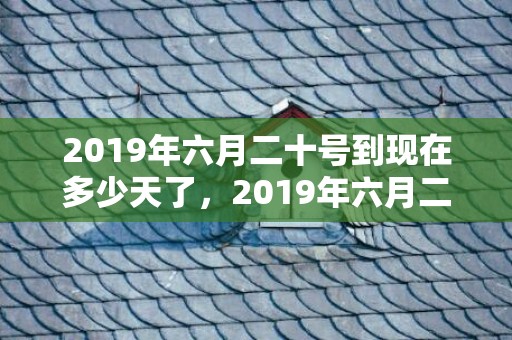 2019年六月二十号到现在多少天了，2019年六月二十三出生的双胞胎女孩起名禁用什么字，五行属什么