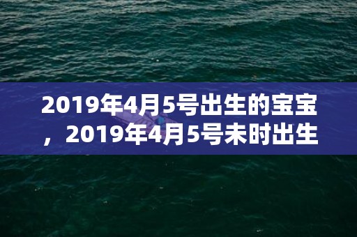 2019年4月5号出生的宝宝，2019年4月5号未时出生的女孩如何起名