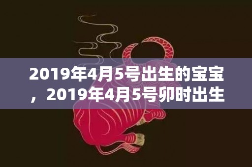 2019年4月5号出生的宝宝，2019年4月5号卯时出生的女孩如何起名