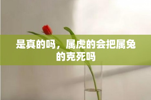 是真的吗，属虎的会把属兔的克死吗