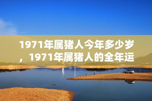 1971年属猪人今年多少岁，1971年属猪人的全年运势