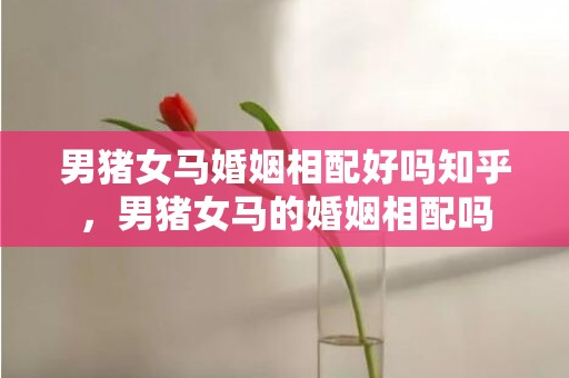 男猪女马婚姻相配好吗知乎，男猪女马的婚姻相配吗