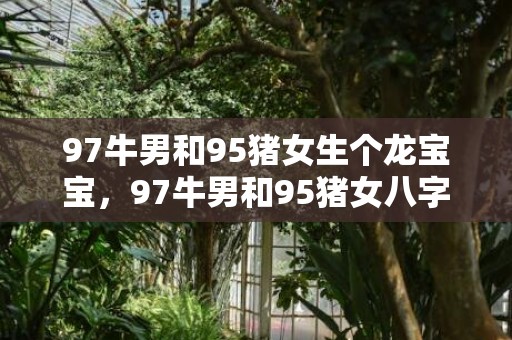 97牛男和95猪女生个龙宝宝，97牛男和95猪女八字合不合