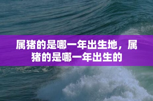 属猪的是哪一年出生地，属猪的是哪一年出生的