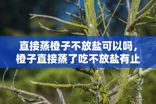 直接蒸橙子不放盐可以吗，橙子直接蒸了吃不放盐有止咳效果吗