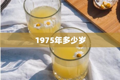 1975年多少岁