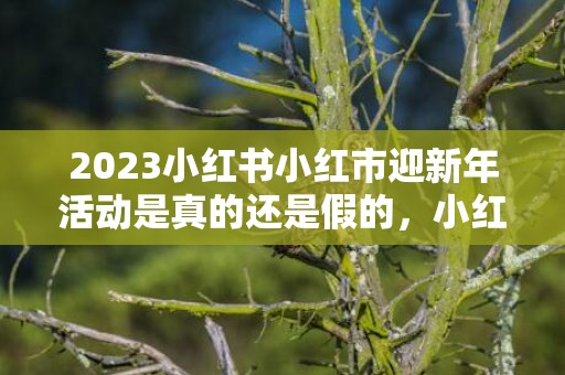 2023小红书小红市迎新年活动是真的还是假的，小红书小红市迎新年活动有人拿到钱吗