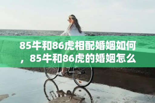 85牛和86虎相配婚姻如何，85牛和86虎的婚姻怎么样