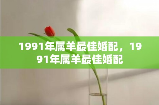 1991年属羊最佳婚配，1991年属羊最佳婚配