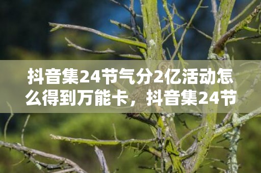 抖音集24节气分2亿活动怎么得到万能卡，抖音集24节气分2亿活动万能卡好获得吗