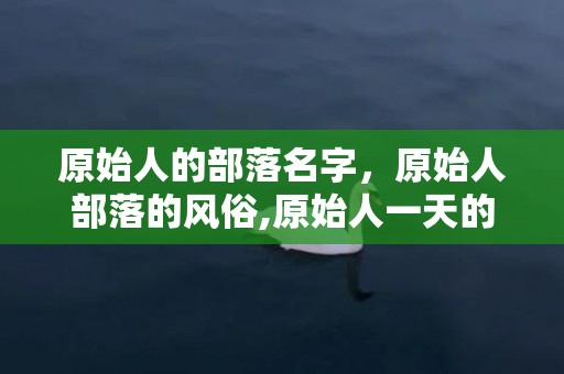 原始人的部落名字，原始人部落的风俗,原始人一天的生活是怎么样的？