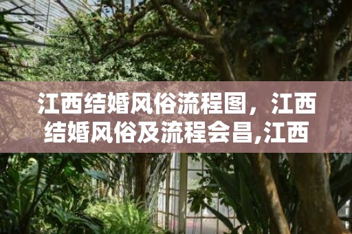 江西结婚风俗流程图，江西结婚风俗及流程会昌,江西结婚风俗