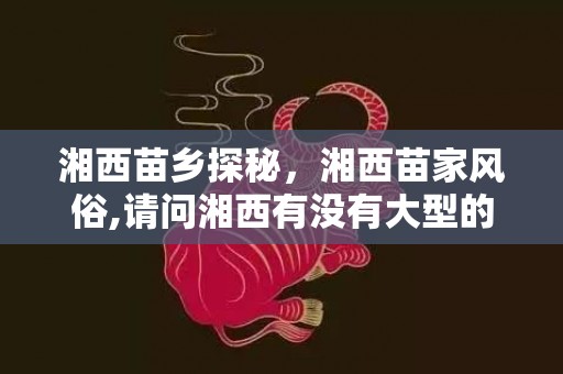 湘西苗乡探秘，湘西苗家风俗,请问湘西有没有大型的特色民俗？