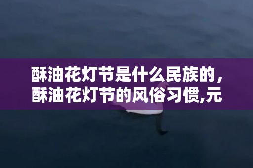 酥油花灯节是什么民族的，酥油花灯节的风俗习惯,元宵节的习俗有哪些？