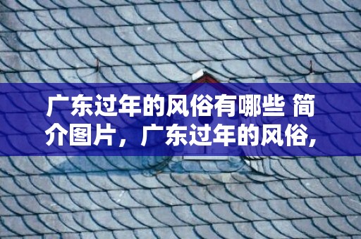 广东过年的风俗有哪些 简介图片，广东过年的风俗,广东的春节习俗