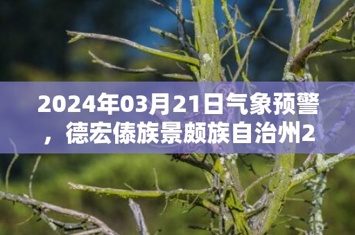 2024年03月21日气象预警，德宏傣族景颇族自治州2024/03/21周四多云转中雨最高气温29℃