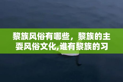 黎族风俗有哪些，黎族的主耍风俗文化,谁有黎族的习俗资料啊？