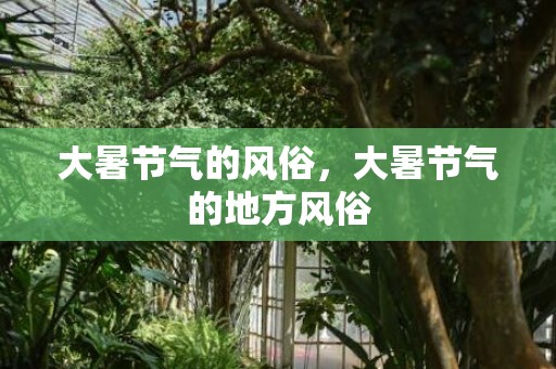 大暑节气的风俗，大暑节气的地方风俗