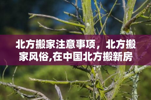 北方搬家注意事项，北方搬家风俗,在中国北方搬新房有何讲究