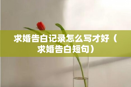 求婚告白记录怎么写才好（求婚告白短句）