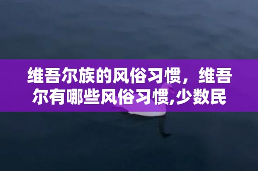 维吾尔族的风俗习惯，维吾尔有哪些风俗习惯,少数民族的风俗，简单写一写