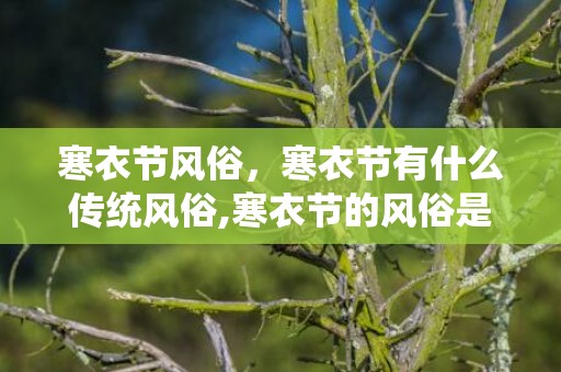 寒衣节风俗，寒衣节有什么传统风俗,寒衣节的风俗是什么？