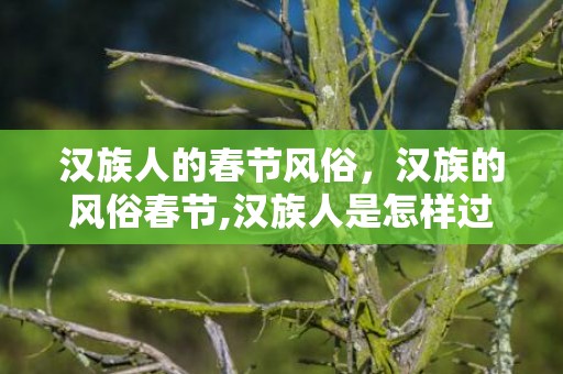 汉族人的春节风俗，汉族的风俗春节,汉族人是怎样过春节的