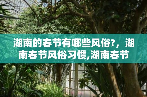 湖南的春节有哪些风俗?，湖南春节风俗习惯,湖南春节有哪些习俗？？？？，急~急~急！