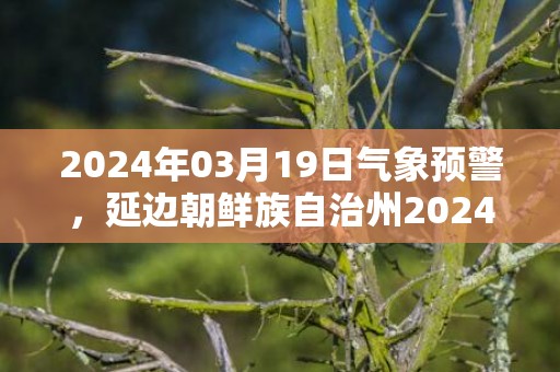 2024年03月19日气象预警，延边朝鲜族自治州2024-03-19天气预报 大部晴转多云