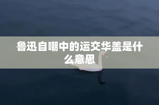 鲁迅自嘲中的运交华盖是什么意思