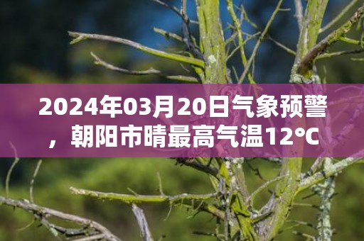 2024年03月20日气象预警，朝阳市晴最高气温12℃