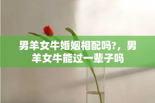 男羊女牛婚姻相配吗?，男羊女牛能过一辈子吗