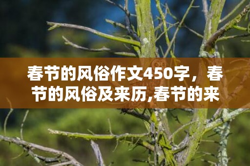 春节的风俗作文450字，春节的风俗及来历,春节的来历和风俗是什么？